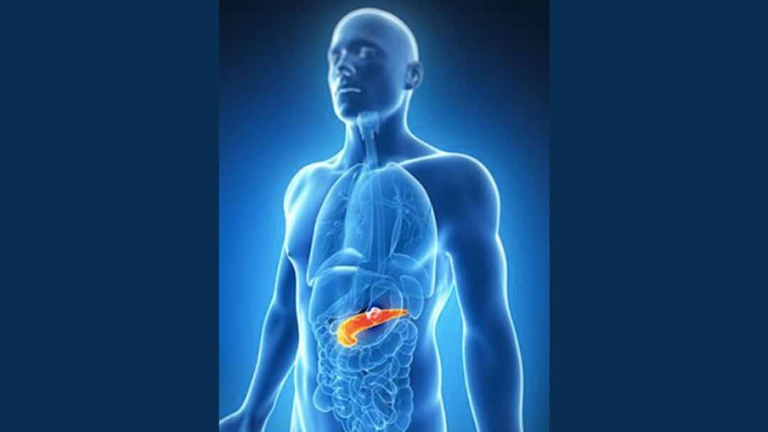 Understanding Pancreatic Cancer and Its Symptoms with Dr. Omar Llaguna