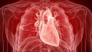 What is Coronary Heart Disease?| Living Minute