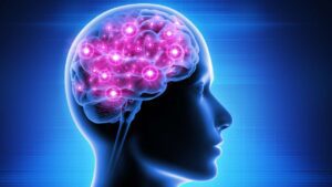 Brain Mapping Used in Epilepsy Treatment