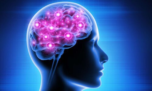 Brain Mapping Used in Epilepsy Treatment