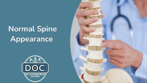 The Backbone of Wellness: A Closer Look at a Healthy Spine