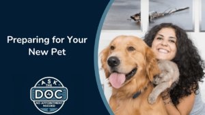 Welcoming a New Pet: Do’s, Don’ts, and Essential Tips