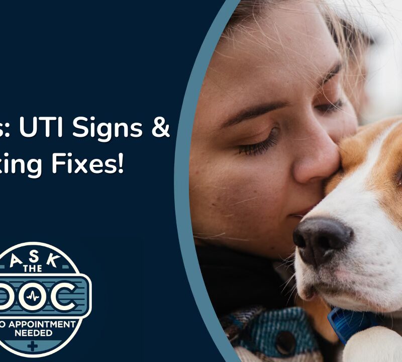 Vet Talk: Solving Common Pet Problems