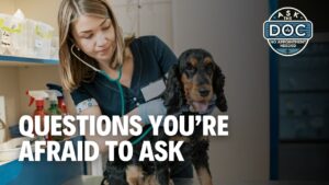 Pet Questions You’ve Been Afraid to Ask