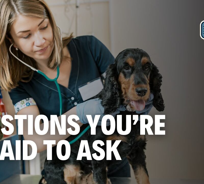 Pet Questions You’ve Been Afraid to Ask