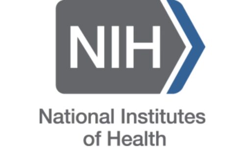 Caregiving Worksheets (NIA)