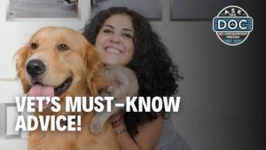 Tops Tips for Pet Owners