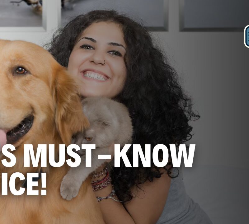 Tops Tips for Pet Owners