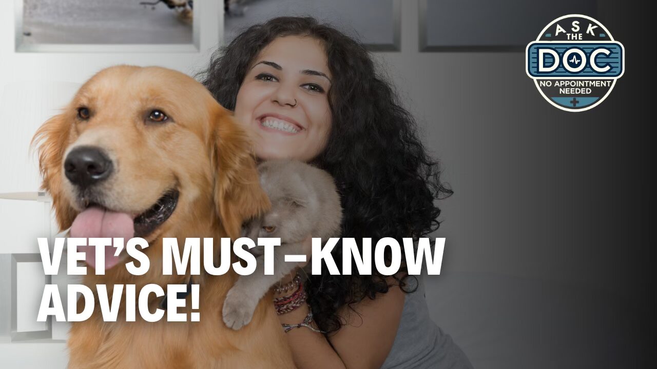 Tops Tips for Pet Owners