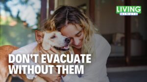 Don’t Leave Them Behind: Pet Safety During Storms | Living Minute