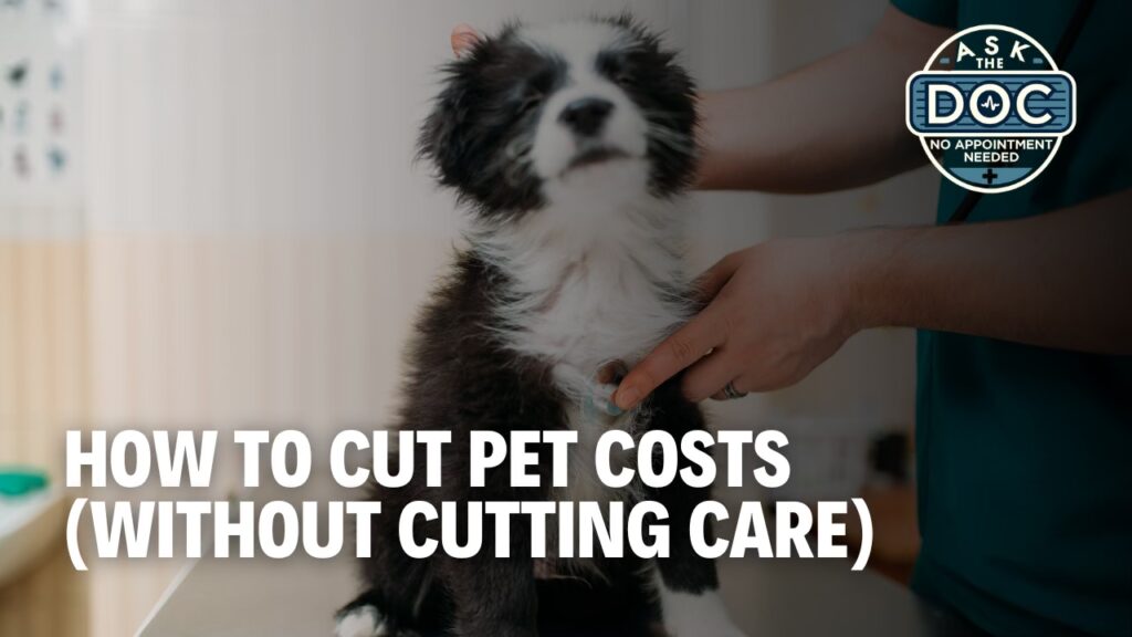 Pet Care on a Budget: Smart Tips