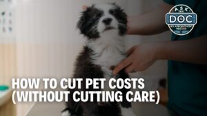 Pet Care on a Budget: Smart Tips