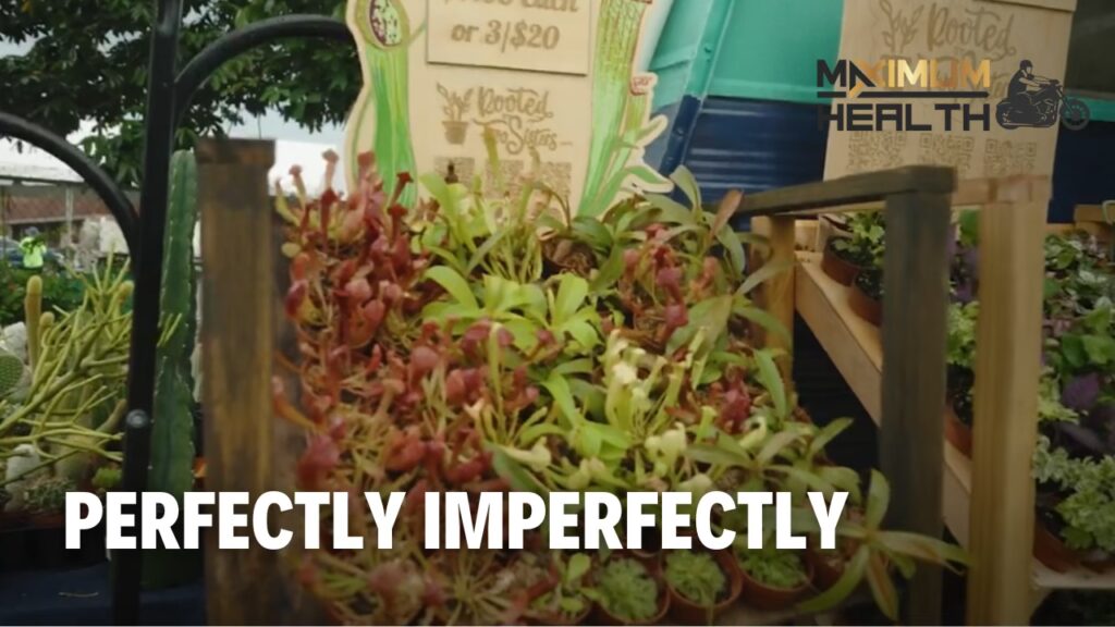 Perfectly Imperfectly