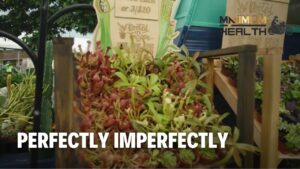 Perfectly Imperfectly | Maximum Health: Road To Wellness