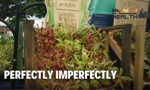 Perfectly Imperfectly | Maximum Health: Road To Wellness