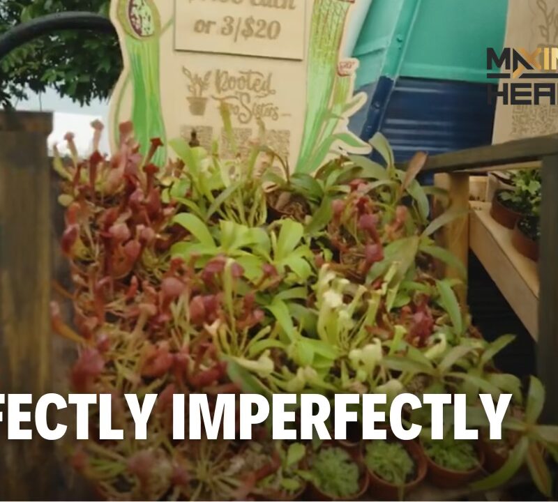 Perfectly Imperfectly | Maximum Health: Road To Wellness