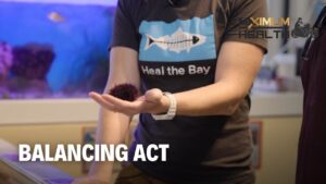 Balancing Act | Maximum Health: Road To Wellness