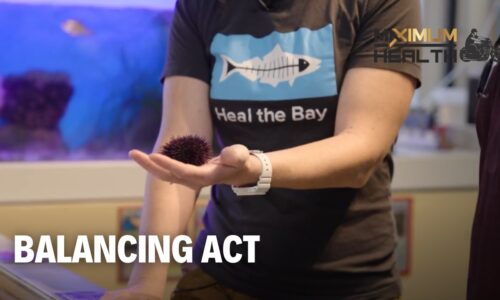 Balancing Act | Maximum Health: Road To Wellness