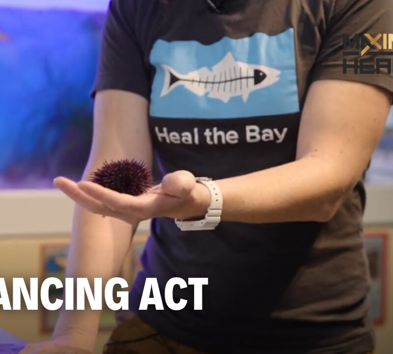 Balancing Act | Maximum Health: Road To Wellness