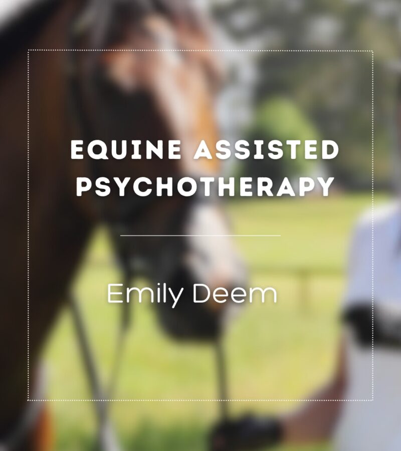 Equine Assisted Psychotherapy