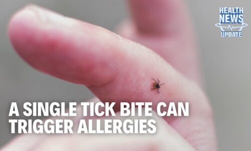 Can a Tick Bite Trigger an Allergy? Plus New Cancer Trends & DNA Weight Loss