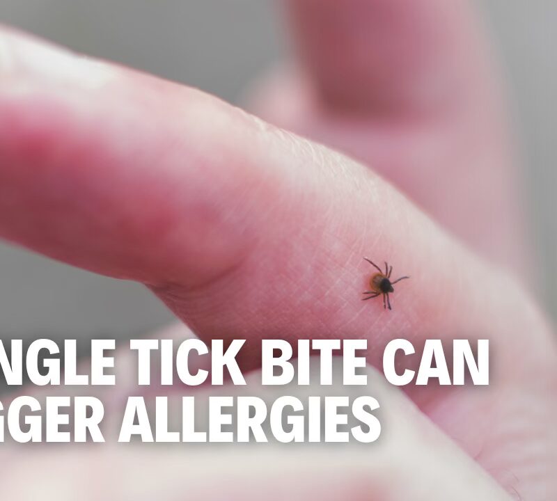 Can a Tick Bite Trigger an Allergy? Plus New Cancer Trends & DNA Weight Loss