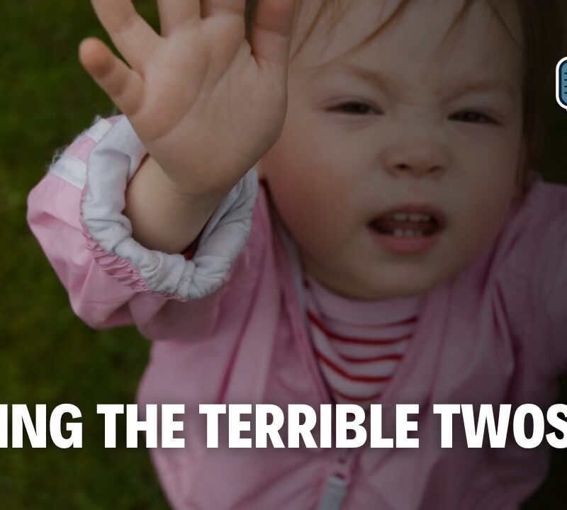 Why Toddlers Melt Down: Navigating the Terrible Twos