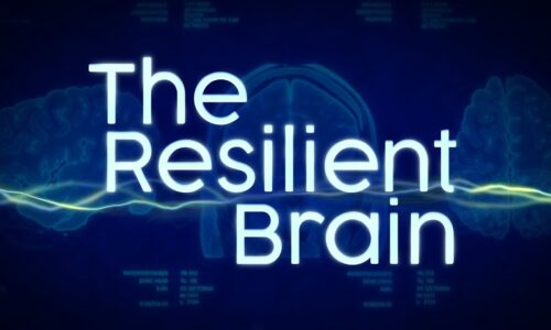 The Resilient Brain